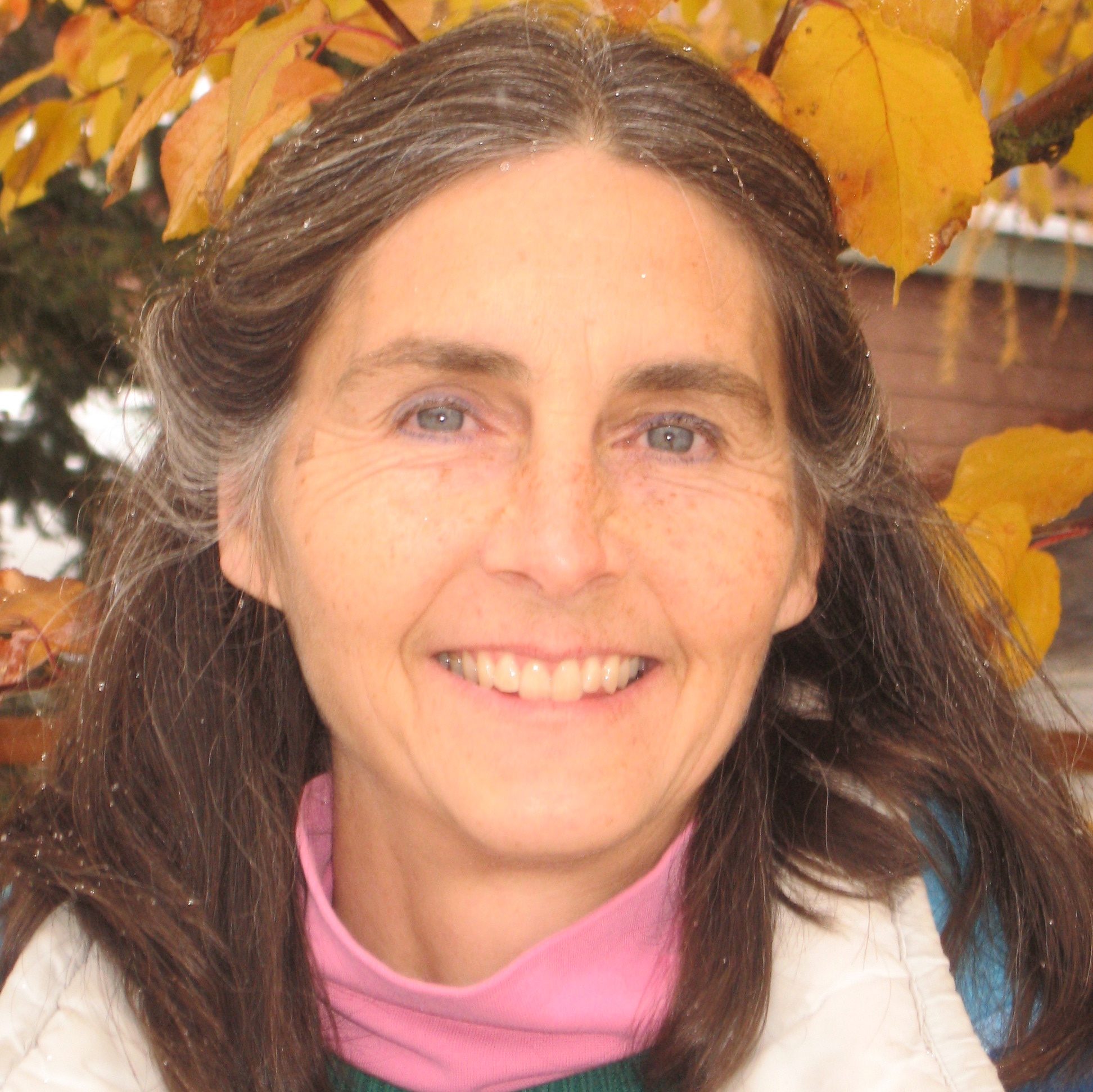 hanne 2009 hanne 2009